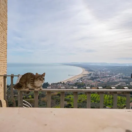 La Loggia Della Gatta * Vasto